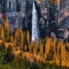 Summer Falls Print